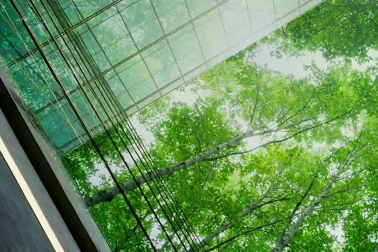 Comment organiser un événement RSE engageant pour ses collaborateurs ?